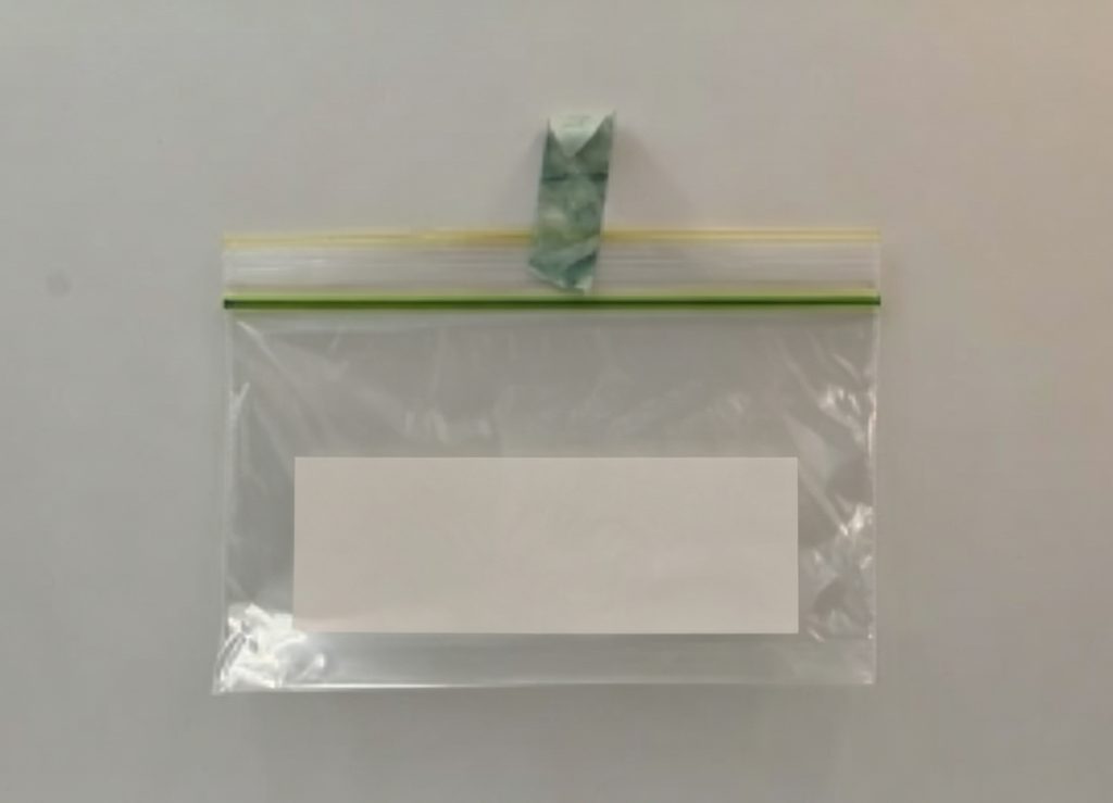Single Seal Zipper Bag